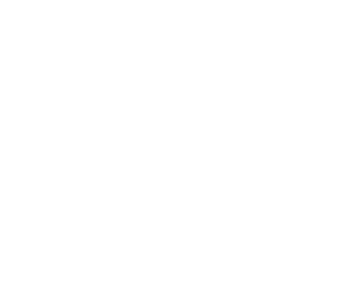 Lone Star Iron Doors